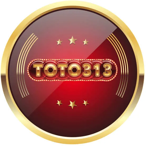 Review Aplikasi toto313